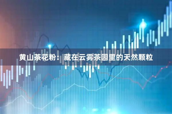 黄山茶花粉:藏在云雾茶园里的天然颗粒