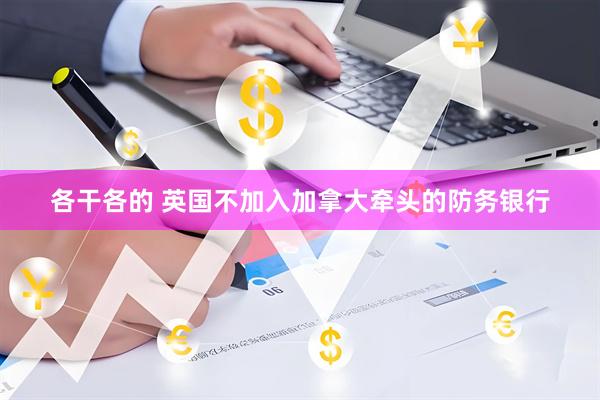 各干各的 英国不加入加拿大牵头的防务银行